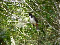 193 Mauritius &ndash; &copy; Jens Petzoldt (Eberhardt TRAVEL)