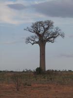 &copy; Sandra Braune (Eberhardt TRAVEL)