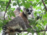 &copy; Sandra Braune (Eberhardt TRAVEL)