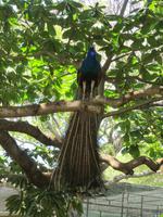 &copy; Sandra Braune (Eberhardt TRAVEL)