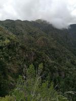 IMG_20200912_120342