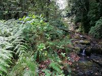 IMG_20200912_151745