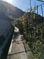 IMG_20200913_100519