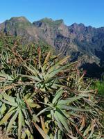 IMG_20200914_101955 &ndash; &copy; Philip Seidel (Eberhardt TRAVEL)