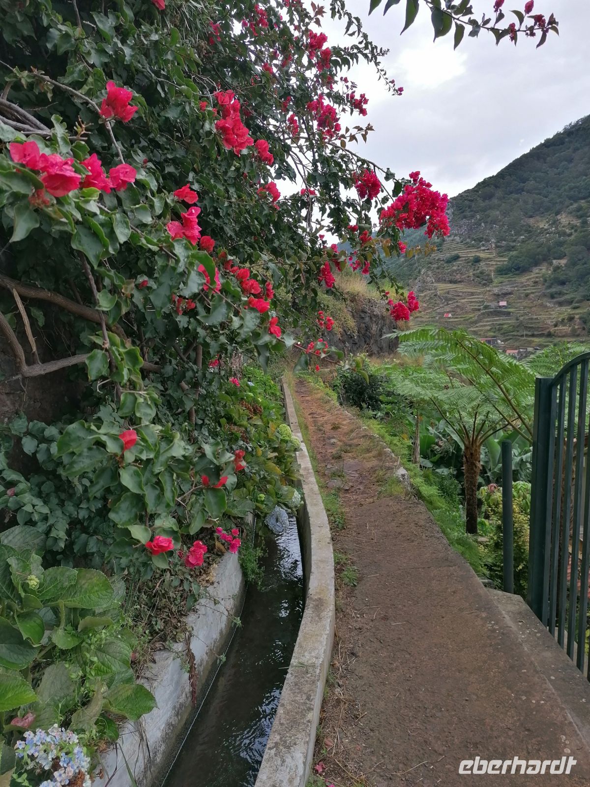 Levada von Maracos &ndash; &copy; Philip Seidel (Eberhardt TRAVEL)
