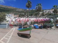 Camara de Lobos &ndash; &copy; Philip Seidel (Eberhardt TRAVEL)
