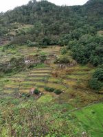 Levada von Maracos &ndash; &copy; Philip Seidel (Eberhardt TRAVEL)