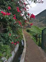 Levada von Maracos &ndash; &copy; Philip Seidel (Eberhardt TRAVEL)