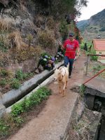 Levada von Maracos &ndash; &copy; Philip Seidel (Eberhardt TRAVEL)