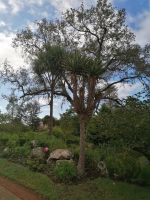 Blandys Garten &ndash; &copy; Philip Seidel (Eberhardt TRAVEL)