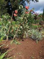 Blandys Garten &ndash; &copy; Philip Seidel (Eberhardt TRAVEL)