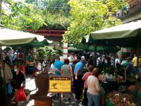 Funchal &ndash; &copy; Steffen Mucke (Eberhardt TRAVEL)