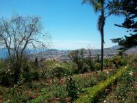 Botanischer Garten &ndash; &copy; Steffen Mucke (Eberhardt TRAVEL)