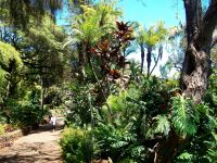 Botanischer Garten &ndash; &copy; Steffen Mucke (Eberhardt TRAVEL)