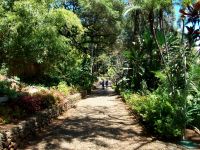Botanischer Garten &ndash; &copy; Steffen Mucke (Eberhardt TRAVEL)