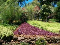 Botanischer Garten &ndash; &copy; Steffen Mucke (Eberhardt TRAVEL)