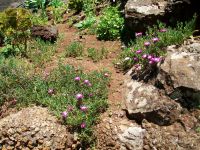 Botanischer Garten &ndash; &copy; Steffen Mucke (Eberhardt TRAVEL)