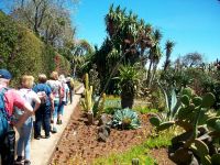 Botanischer Garten &ndash; &copy; Steffen Mucke (Eberhardt TRAVEL)