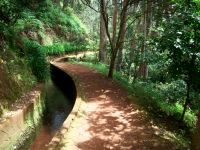 Levada &ndash; &copy; Steffen Mucke (Eberhardt TRAVEL)
