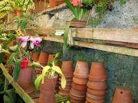 Im Orchideengarten &ndash; &copy; Steffen Mucke (Eberhardt TRAVEL)