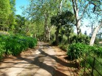 Garten  &ndash; &copy; Steffen Mucke (Eberhardt TRAVEL)
