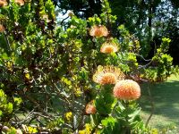Garten &ndash; &copy; Steffen Mucke (Eberhardt TRAVEL)