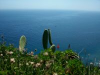 Flora &ndash; &copy; Steffen Mucke (Eberhardt TRAVEL)
