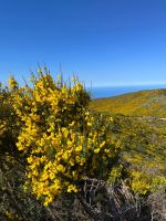 Pico do Arieriro &ndash; &copy; Vicky Kern (Eberhardt TRAVEL)