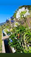  Levada von Marocos &ndash; &copy; Vicky Kern (Eberhardt TRAVEL)