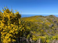Pico do Arieriro &ndash; &copy; Vicky Kern (Eberhardt TRAVEL)