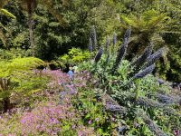Forellenzucht &ndash; &copy; Vicky Kern (Eberhardt TRAVEL)