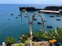 Camara da Lobos &ndash; &copy; Vicky Kern (Eberhardt TRAVEL)