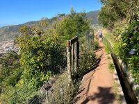 Levada-Wanderung von Marocos &ndash; &copy; Vicky Kern (Eberhardt TRAVEL)