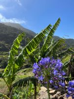 Wanderung Levada von Marocos &ndash; &copy; Vicky Kern (Eberhardt TRAVEL)