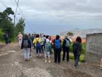 Blick auf Funchal &ndash; &copy; Vicky Kern (Eberhardt TRAVEL)