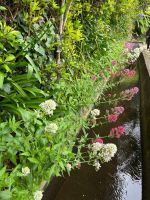 Levada-Wanderung &ndash; &copy; Vicky Kern (Eberhardt TRAVEL)