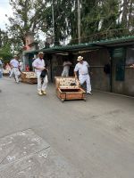 Korbschlittenfahrt &ndash; &copy; Vicky Kern (Eberhardt TRAVEL)