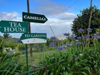 Palheiro Gardens &ndash; &copy; Vicky Kern (Eberhardt TRAVEL)