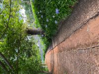 Palheiro Gardens &ndash; &copy; Vicky Kern (Eberhardt TRAVEL)