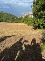 Blick auf Funchal &ndash; &copy; Vicky Kern (Eberhardt TRAVEL)