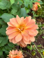 Palheiro Gardens &ndash; &copy; Vicky Kern (Eberhardt TRAVEL)