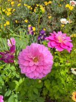 Palheiro Gardens &ndash; &copy; Vicky Kern (Eberhardt TRAVEL)
