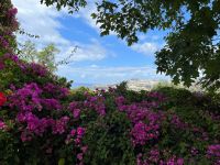 Blick auf Funchal &ndash; &copy; Vicky Kern (Eberhardt TRAVEL)