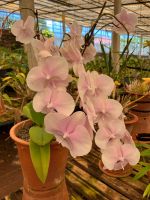 Orchideengarten &ndash; &copy; Vicky Kern (Eberhardt TRAVEL)