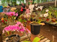 Orchideengarten &ndash; &copy; Vicky Kern (Eberhardt TRAVEL)