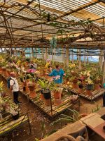 Orchideengarten &ndash; &copy; Vicky Kern (Eberhardt TRAVEL)