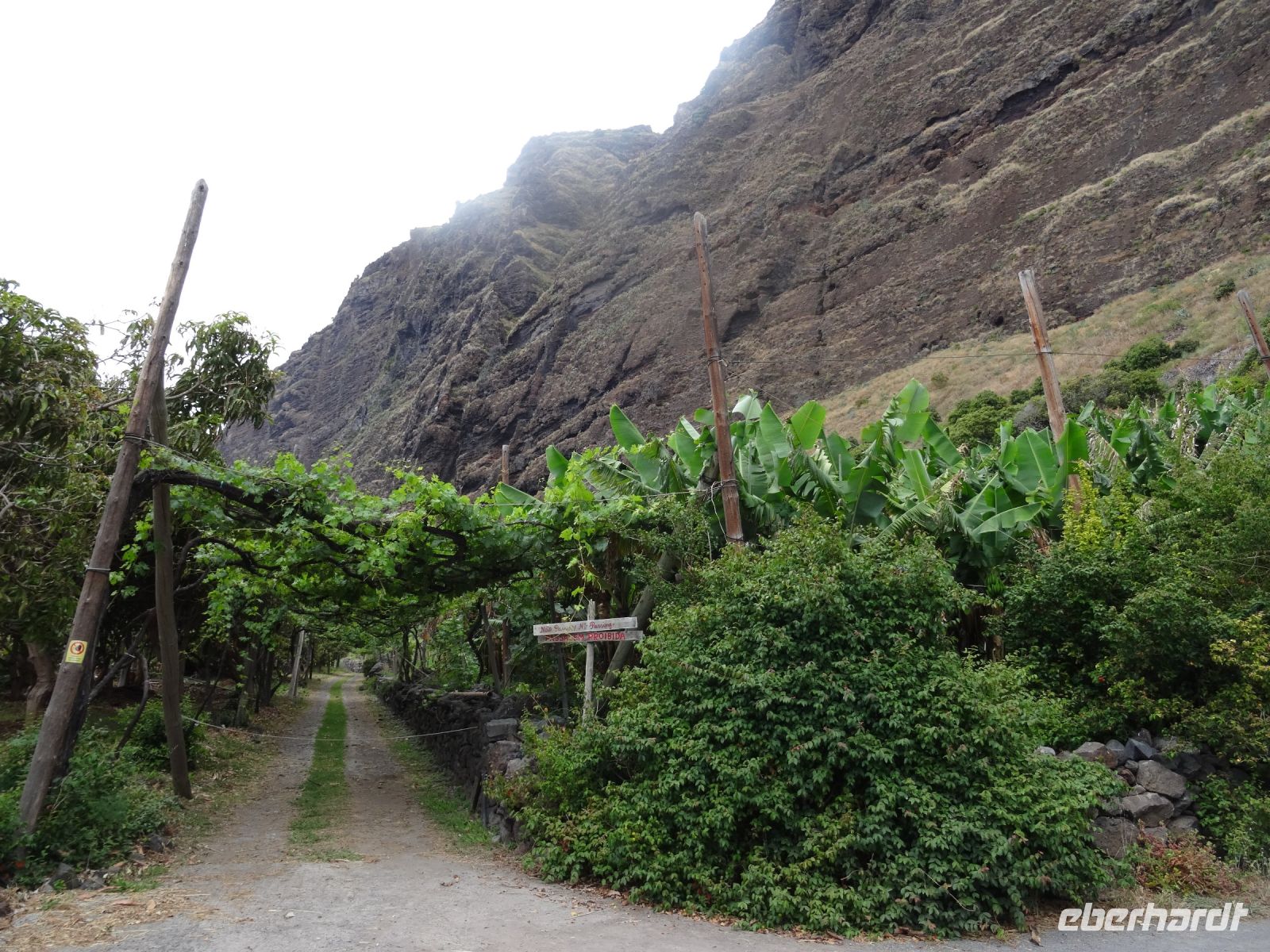 Faja dos Padres &ndash; &copy; Hans-Joachim Trutz (Eberhardt TRAVEL)