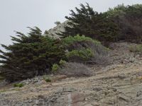 Porto Santo &ndash; &copy; Hans-Joachim Trutz (Eberhardt TRAVEL)