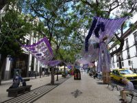 Funchal &ndash; &copy; Hans-Joachim Trutz (Eberhardt TRAVEL)
