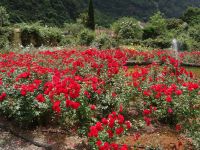 im Rosengarten &ndash; &copy; Hans-Joachim Trutz (Eberhardt TRAVEL)